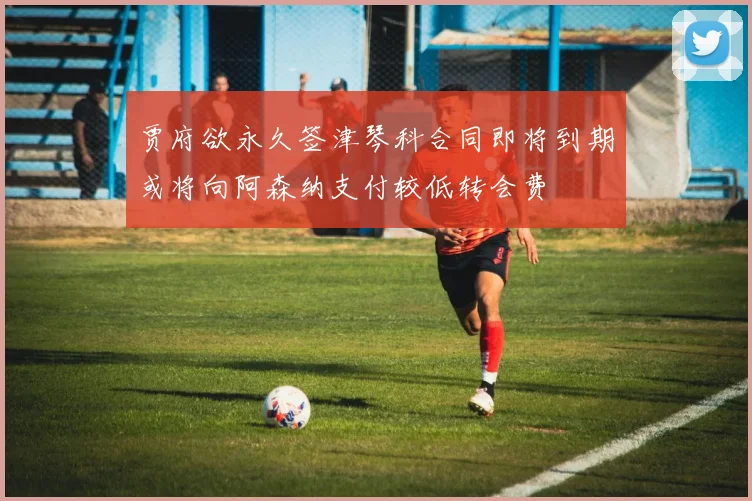贾府欲永久签津琴科合同即将到期或将向阿森纳支付较低转会费
